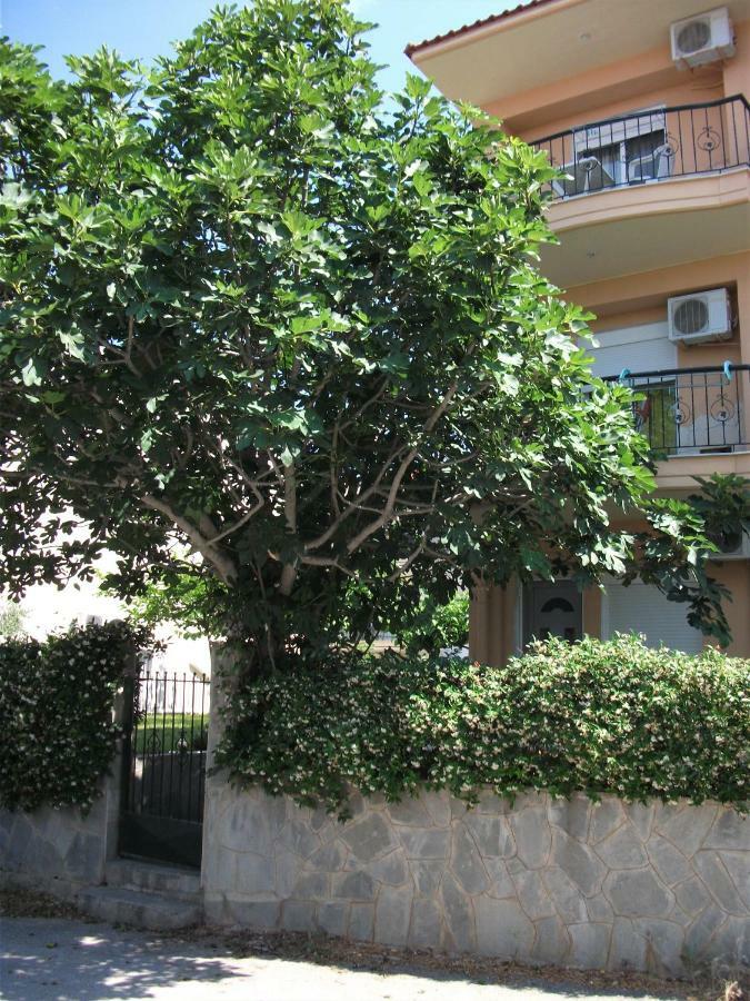 Fani House Appartement Kallithea  Buitenkant foto